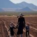 ¿De dónde son los menonitas de Chihuahua y por qué llegaron a México?